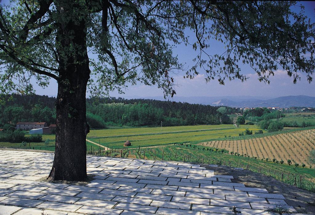 Agriturismo Le Due Querce Lazzeretto Eksteriør billede